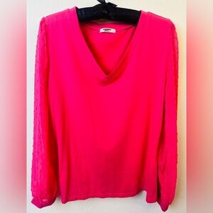 Zeagoo Women's Dressy Casual V Neck Top Swiss Dot Balloon Long Sleeve, size L